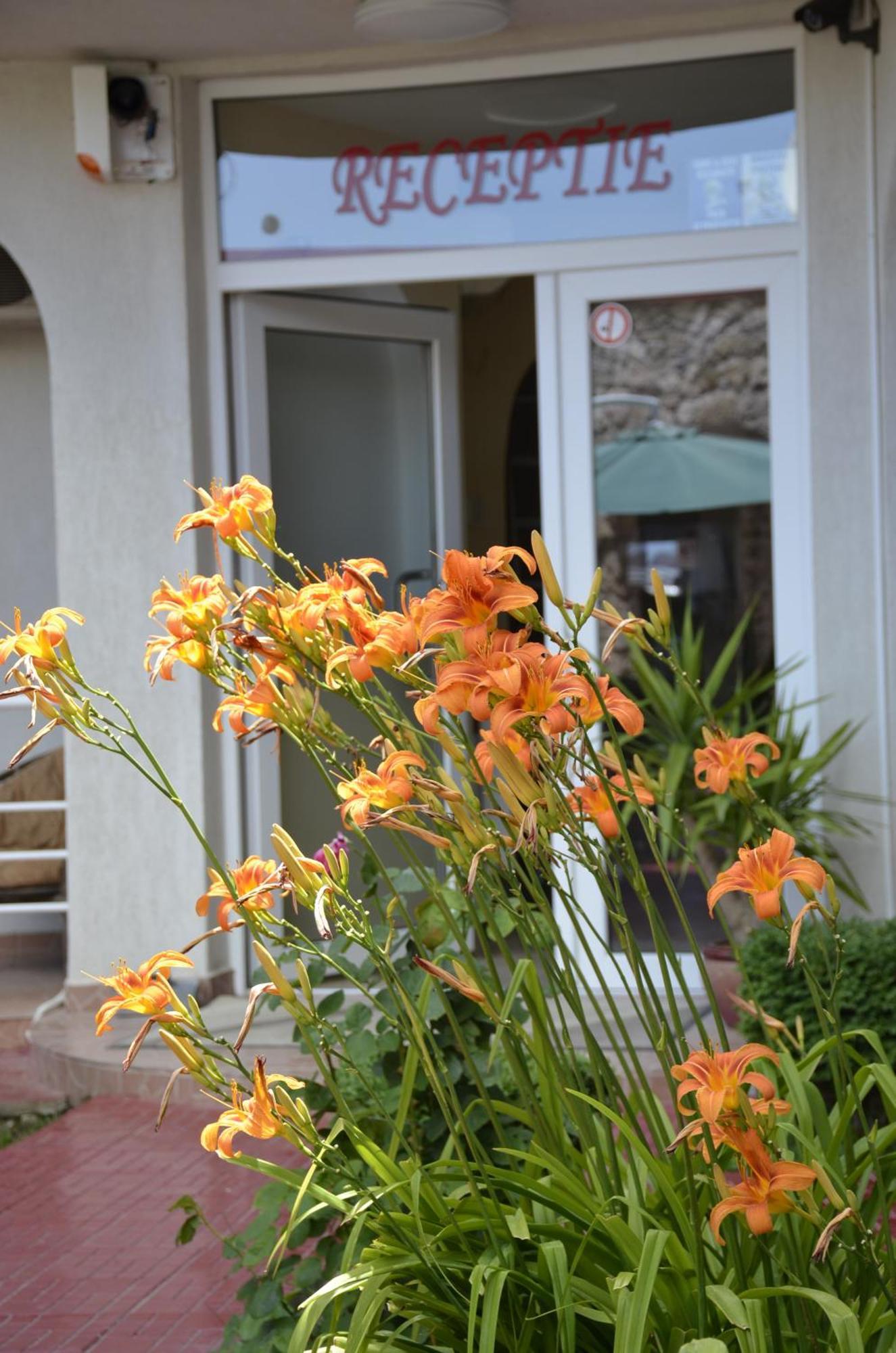 Vila Julia Costinesti Exterior photo